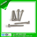 18-8 Aço Inoxidável Torx Socket Cabeça Tampão Parafuso